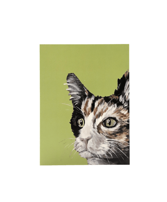 Cat Green Card