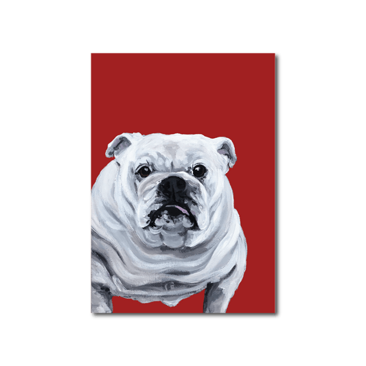 White English Bulldog Card