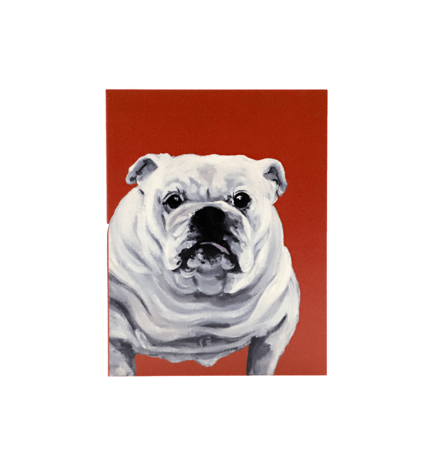 White English Bulldog Enclosure Card