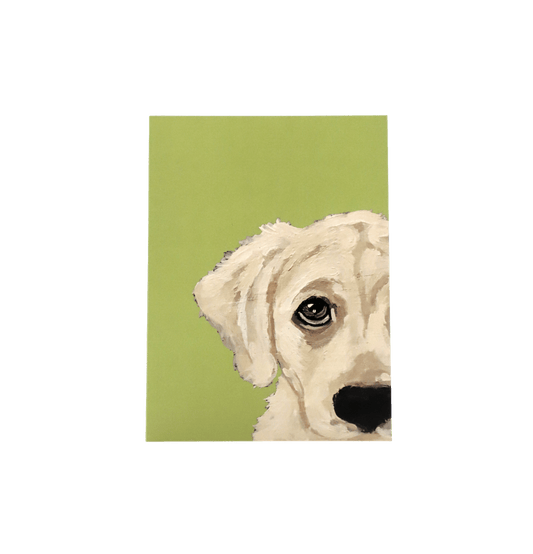 Labrador Bright Green Card