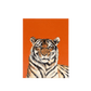 Orange Tiger Enclosure Card