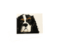King Charles Ivory Notecards