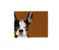 Boston Terrier Red Notecards