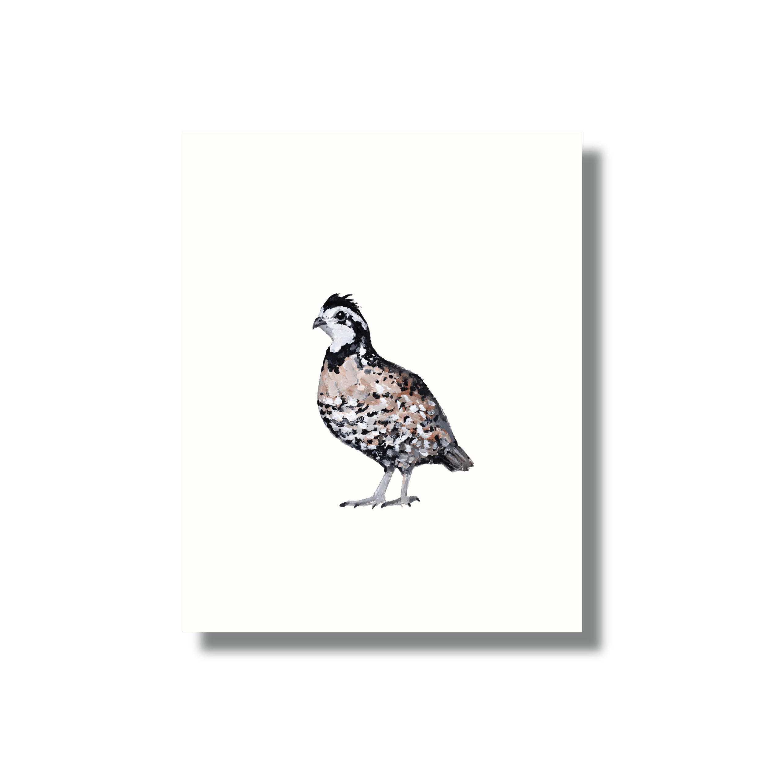 Northern bobwhite quail feathers - archival print of my original watercolor  painting, bird, pair, scientific, illustration