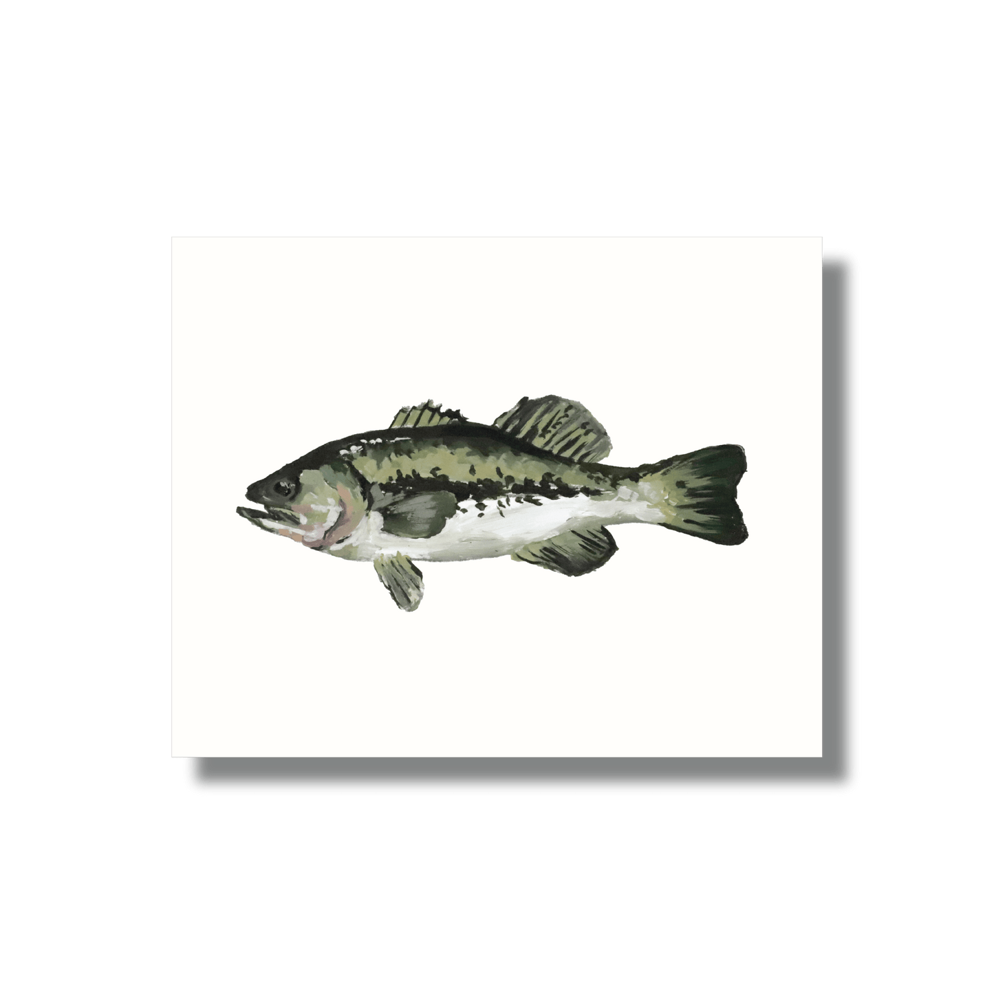 Fine Art Print – Largemouth Bass