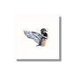 Fine Art Print – Wood Duck