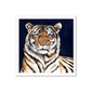 Tiger Fine Art Print