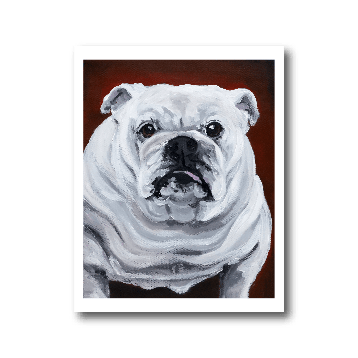 White English Bulldog Fine Art Print