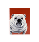 White English Bulldog Enclosure Card