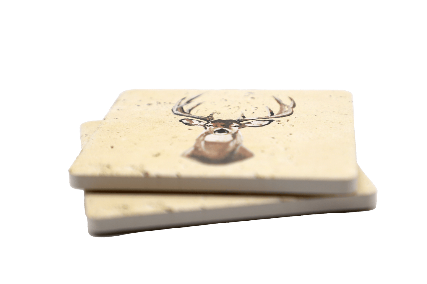 White-Tailed Deer Coaster