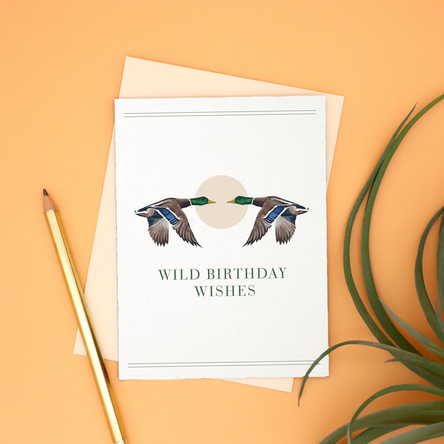 Mallard Wild Birthday Card