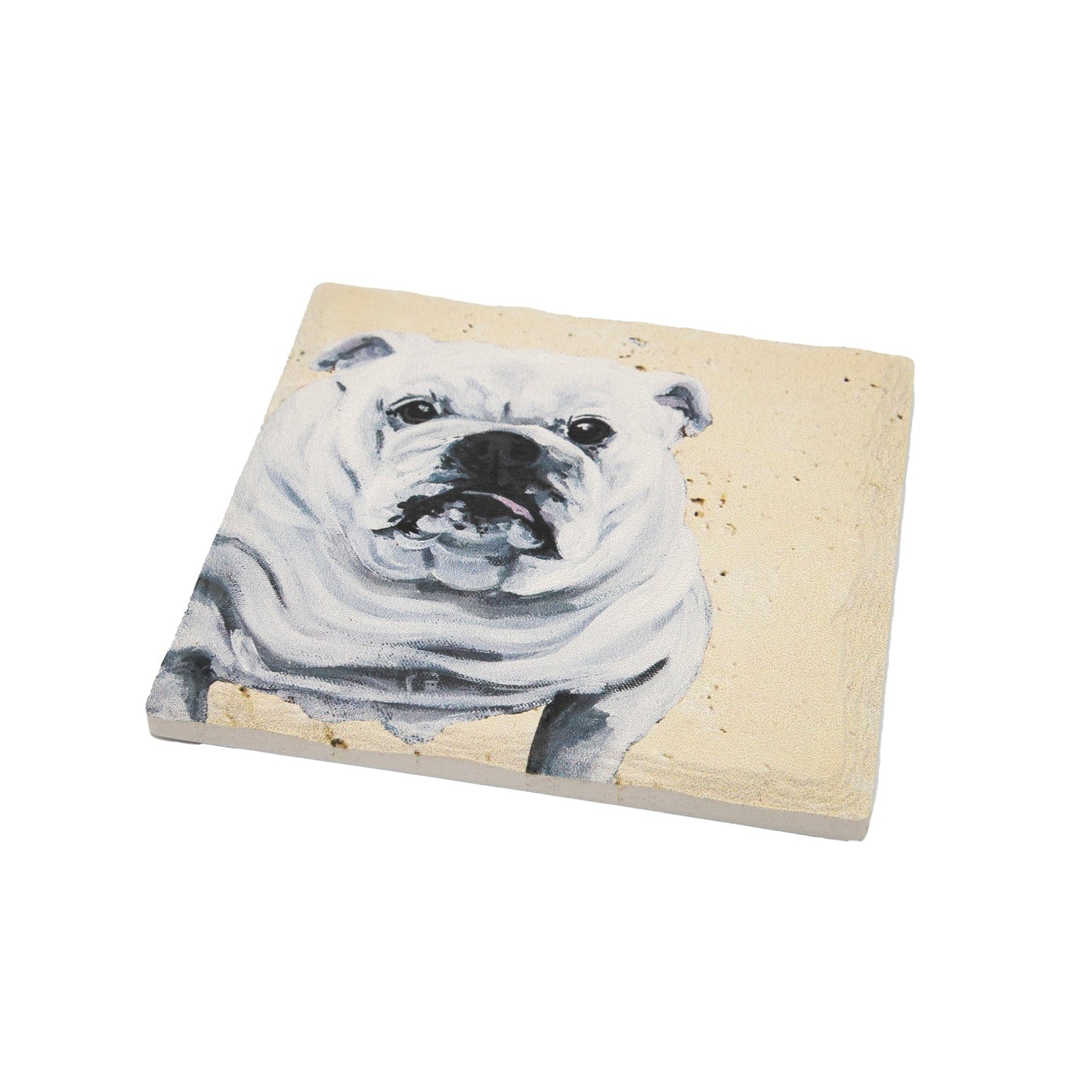 White English Bulldog Coaster