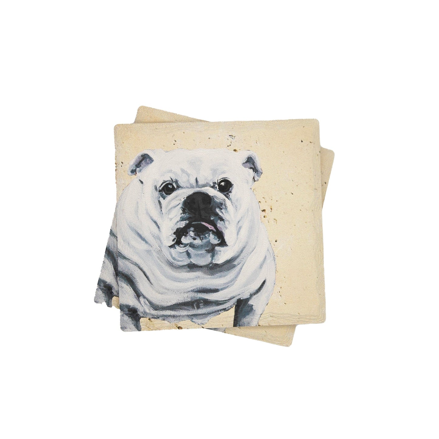 White English Bulldog Coaster